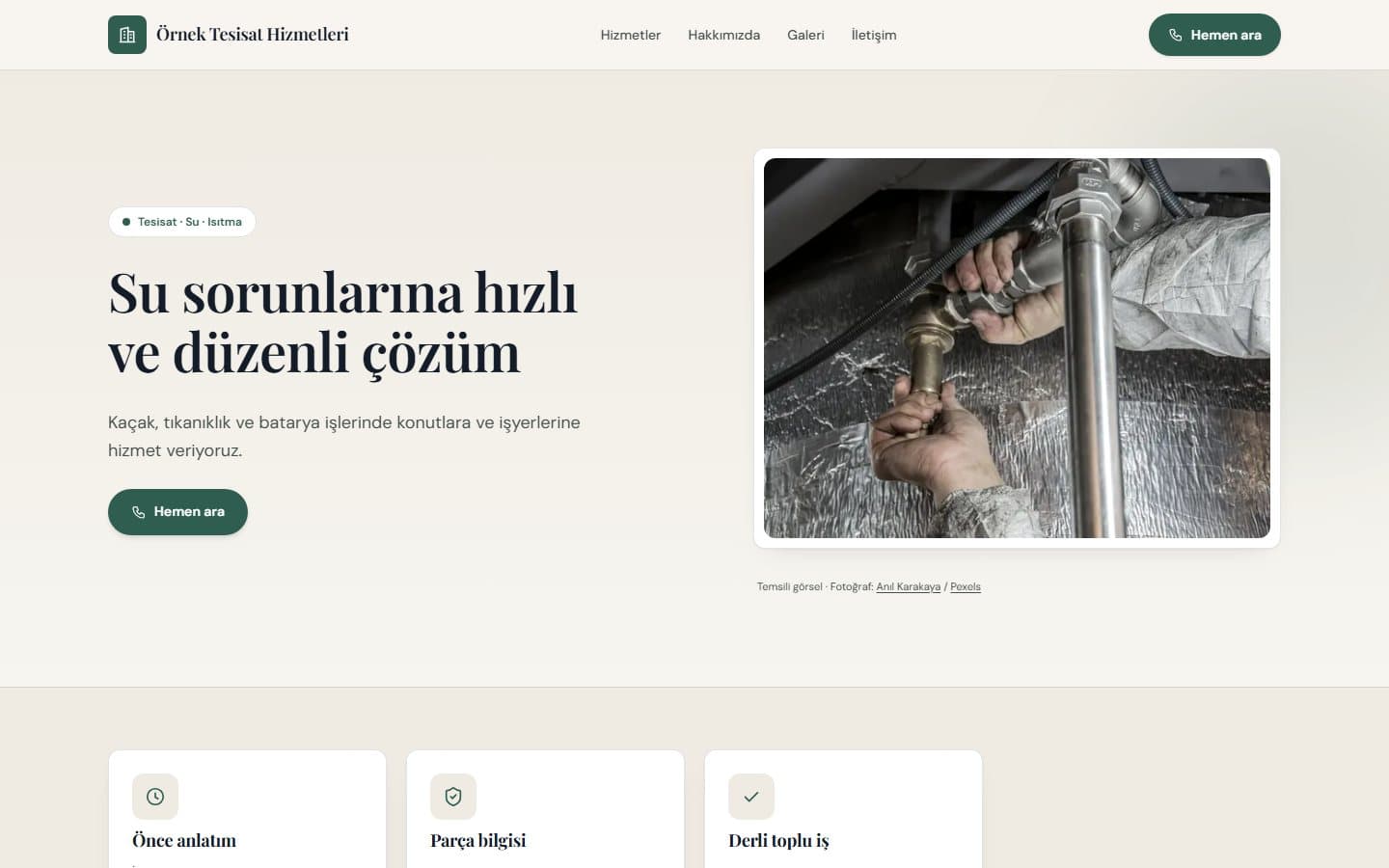 Tesisatçı web sitesi örneği, Çam teması masaüstü görünümü