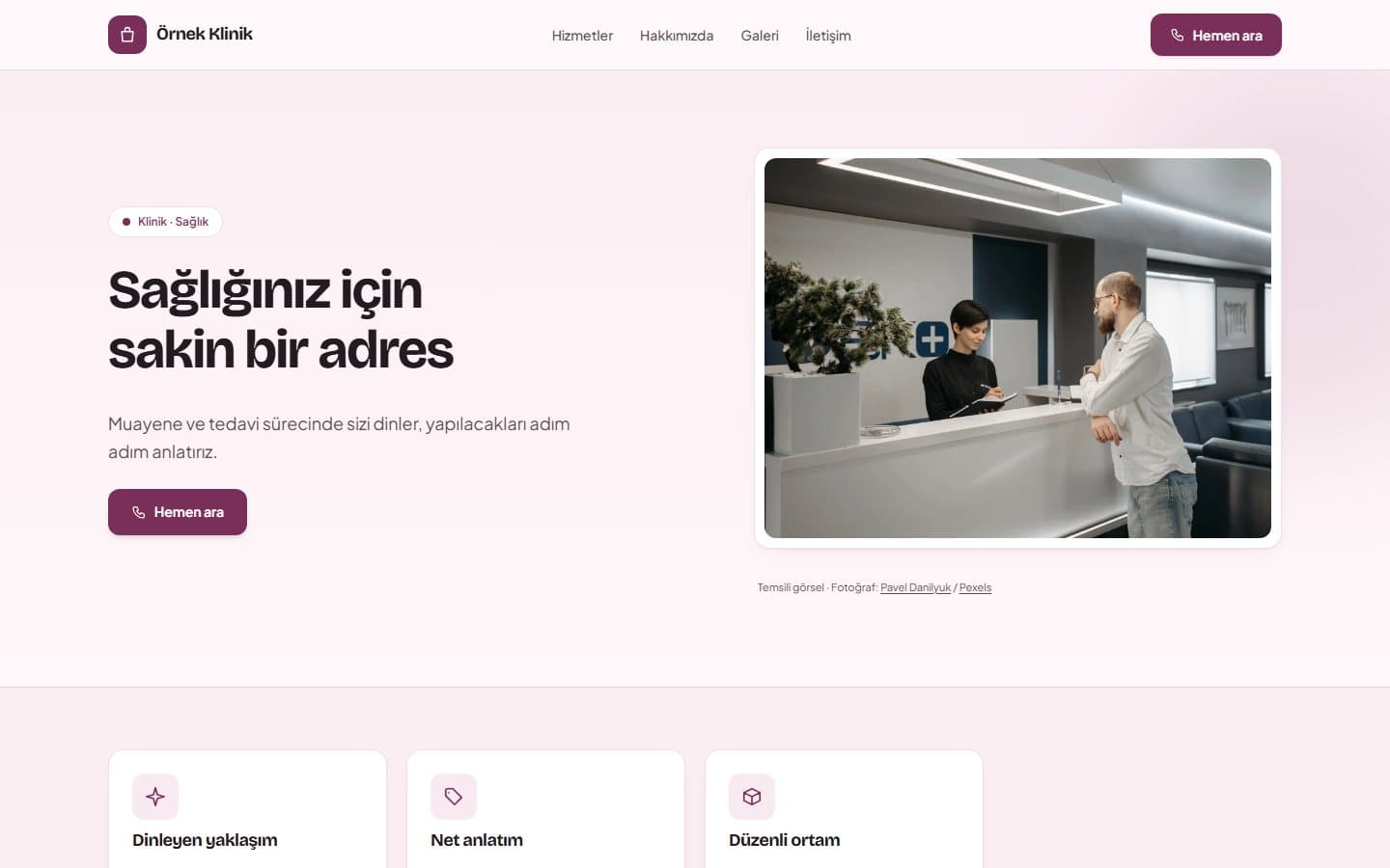 Klinik ve sağlık web sitesi, Erik teması masaüstü görünümü