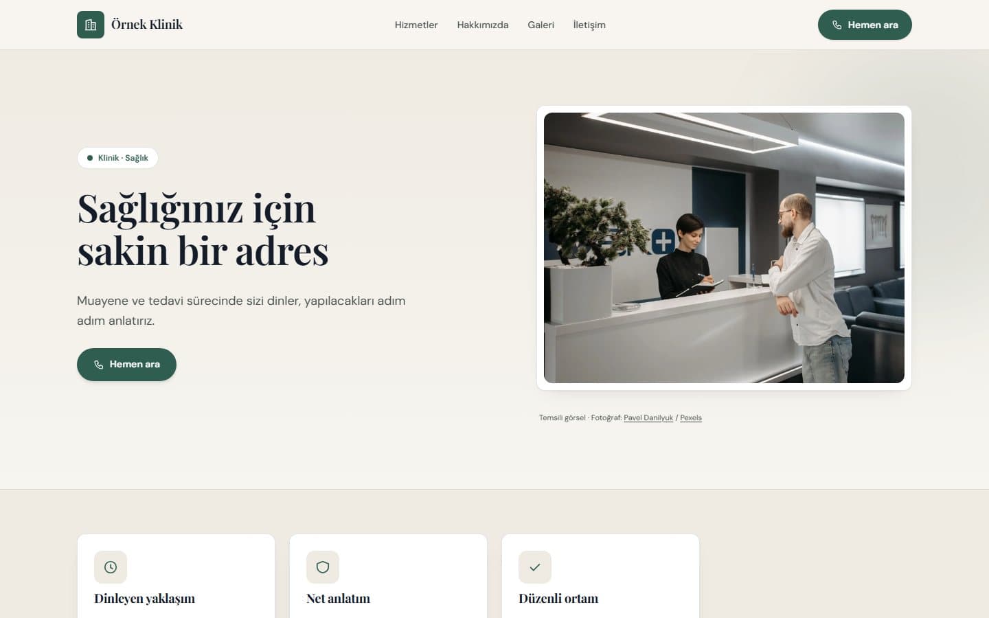 Klinik ve sağlık web sitesi, Çam teması masaüstü görünümü