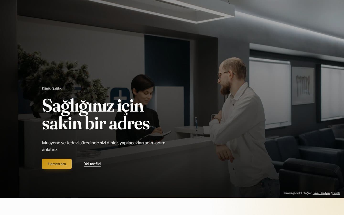 Klinik ve sağlık web sitesi, Editoryal teması masaüstü görünümü